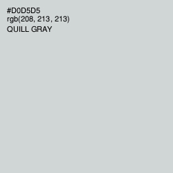 #D0D5D5 - Quill Gray Color Image