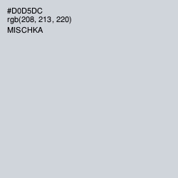 #D0D5DC - Mischka Color Image