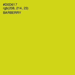 #D0D617 - Barberry Color Image