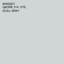 #D0D6D7 - Quill Gray Color Image