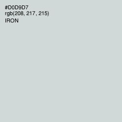 #D0D9D7 - Iron Color Image