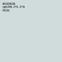 #D0DBDB - Iron Color Image