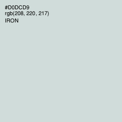 #D0DCD9 - Iron Color Image