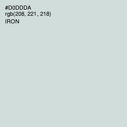 #D0DDDA - Iron Color Image