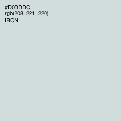 #D0DDDC - Iron Color Image