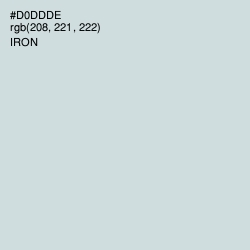 #D0DDDE - Iron Color Image