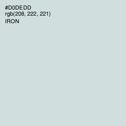 #D0DEDD - Iron Color Image