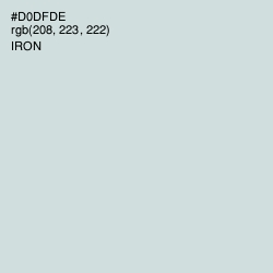 #D0DFDE - Iron Color Image
