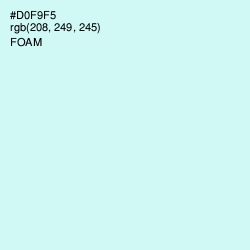 #D0F9F5 - Foam Color Image