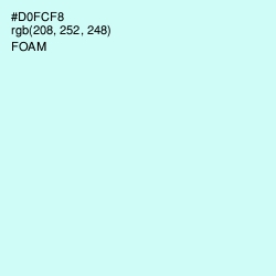 #D0FCF8 - Foam Color Image