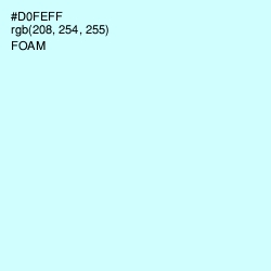 #D0FEFF - Foam Color Image