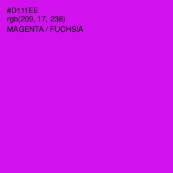 #D111EE - Magenta / Fuchsia Color Image