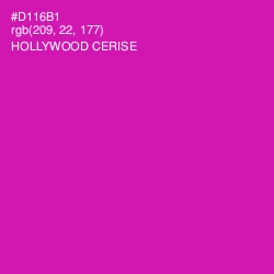 #D116B1 - Hollywood Cerise Color Image