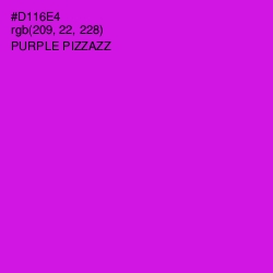 #D116E4 - Purple Pizzazz Color Image