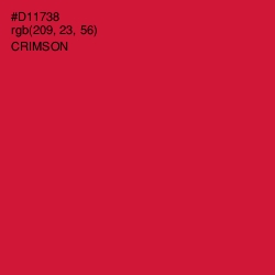 #D11738 - Crimson Color Image