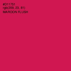 #D11751 - Maroon Flush Color Image