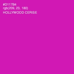 #D117B4 - Hollywood Cerise Color Image