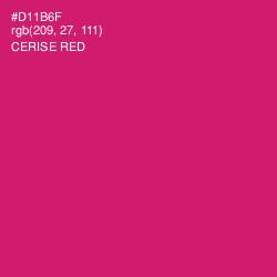 #D11B6F - Cerise Red Color Image