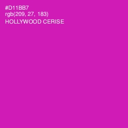 #D11BB7 - Hollywood Cerise Color Image