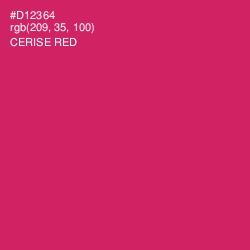 #D12364 - Cerise Red Color Image