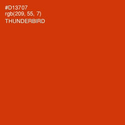 #D13707 - Thunderbird Color Image