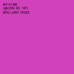 #D141BB - Brilliant Rose Color Image