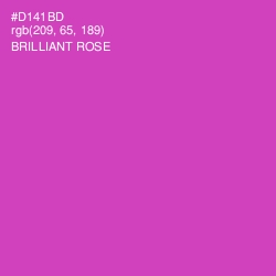 #D141BD - Brilliant Rose Color Image