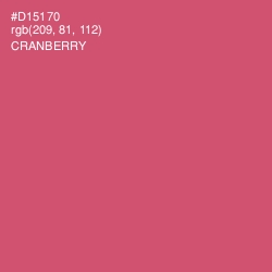 #D15170 - Cranberry Color Image