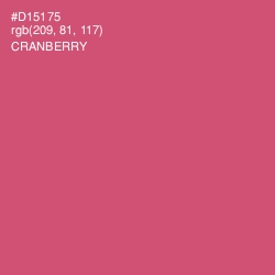 #D15175 - Cranberry Color Image
