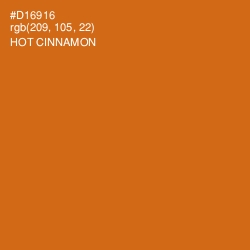 #D16916 - Hot Cinnamon Color Image