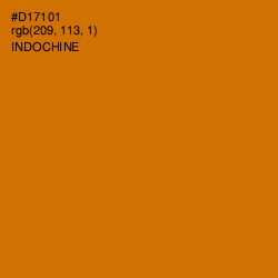 #D17101 - Indochine Color Image