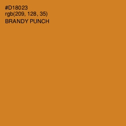 #D18023 - Brandy Punch Color Image