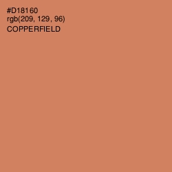 #D18160 - Copperfield Color Image