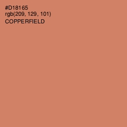 #D18165 - Copperfield Color Image