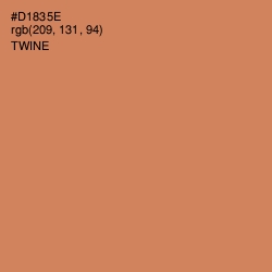 #D1835E - Twine Color Image