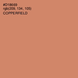 #D18669 - Copperfield Color Image