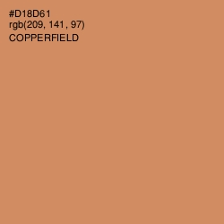 #D18D61 - Copperfield Color Image