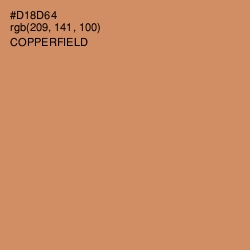 #D18D64 - Copperfield Color Image