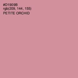 #D1909B - Petite Orchid Color Image