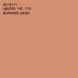 #D19171 - Burning Sand Color Image