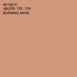 #D1987C - Burning Sand Color Image