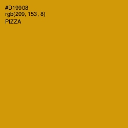 #D19908 - Pizza Color Image