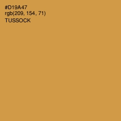 #D19A47 - Tussock Color Image