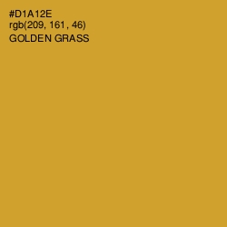 #D1A12E - Golden Grass Color Image