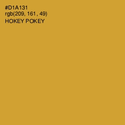 #D1A131 - Hokey Pokey Color Image