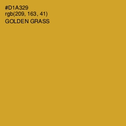 #D1A329 - Golden Grass Color Image