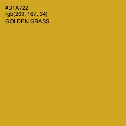 #D1A722 - Golden Grass Color Image