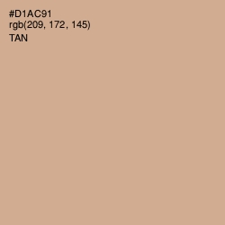 #D1AC91 - Tan Color Image