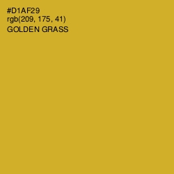 #D1AF29 - Golden Grass Color Image