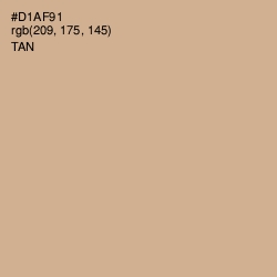 #D1AF91 - Tan Color Image